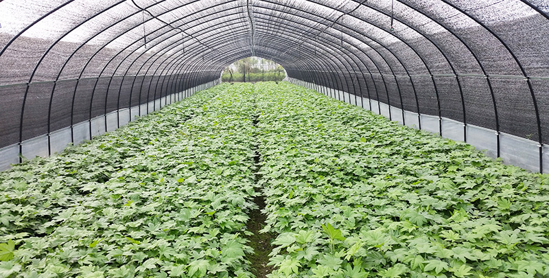 suncitygroup太阳集团·(中国)首页登录