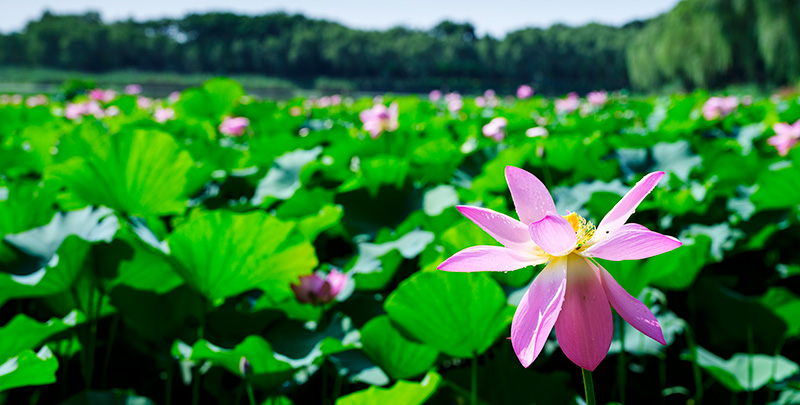 suncitygroup太阳集团·(中国)首页登录