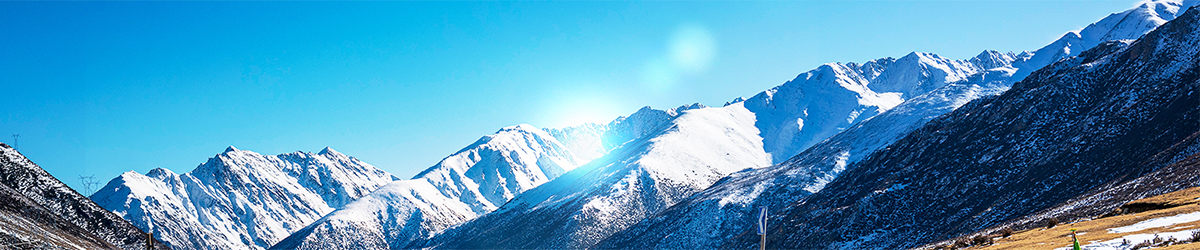 suncitygroup太阳集团·(中国)首页登录